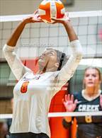 Photo from the gallery "Gray's Creek @ South View"