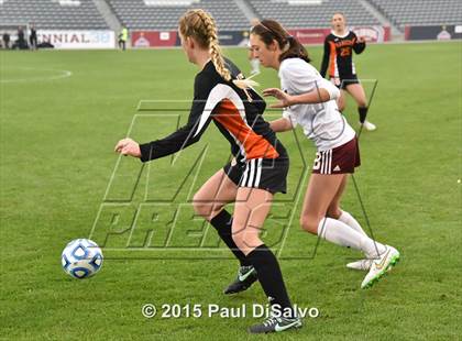 Thumbnail 1 in Lewis-Palmer vs. Cheyenne Mountain (CHSAA 4A Final) photogallery.