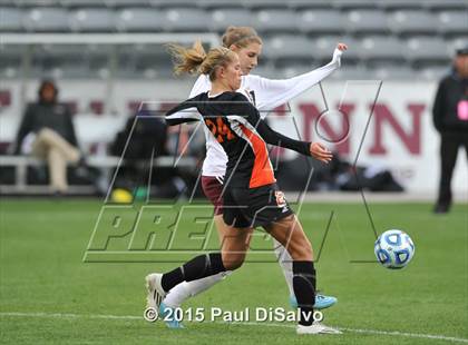 Thumbnail 1 in Lewis-Palmer vs. Cheyenne Mountain (CHSAA 4A Final) photogallery.