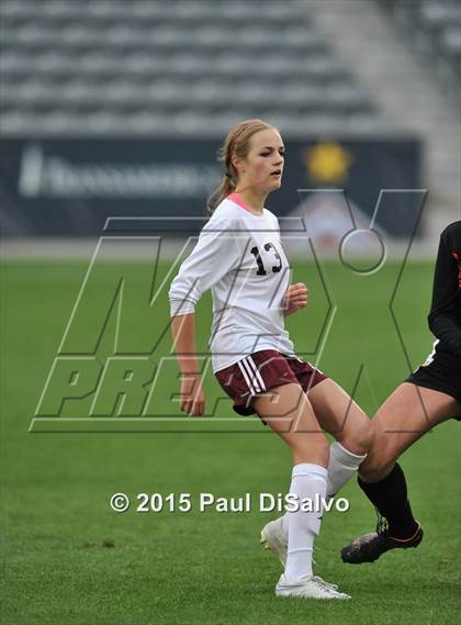Thumbnail 3 in Lewis-Palmer vs. Cheyenne Mountain (CHSAA 4A Final) photogallery.