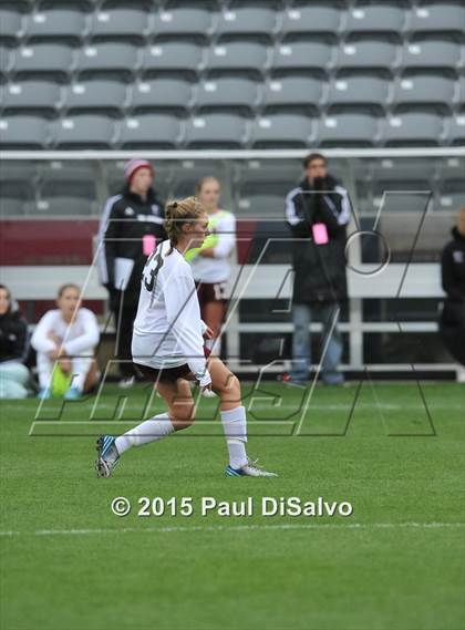 Thumbnail 3 in Lewis-Palmer vs. Cheyenne Mountain (CHSAA 4A Final) photogallery.