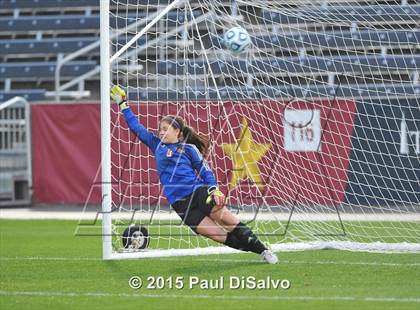 Thumbnail 3 in Lewis-Palmer vs. Cheyenne Mountain (CHSAA 4A Final) photogallery.
