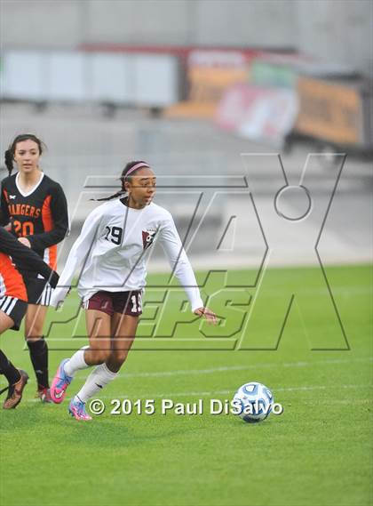 Thumbnail 2 in Lewis-Palmer vs. Cheyenne Mountain (CHSAA 4A Final) photogallery.