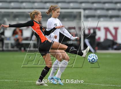 Thumbnail 2 in Lewis-Palmer vs. Cheyenne Mountain (CHSAA 4A Final) photogallery.