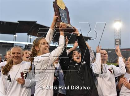 Thumbnail 1 in Lewis-Palmer vs. Cheyenne Mountain (CHSAA 4A Final) photogallery.