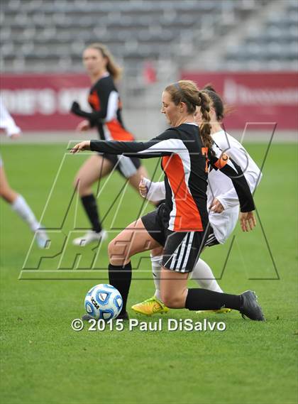 Thumbnail 1 in Lewis-Palmer vs. Cheyenne Mountain (CHSAA 4A Final) photogallery.