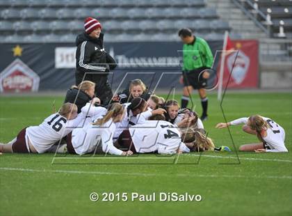 Thumbnail 1 in Lewis-Palmer vs. Cheyenne Mountain (CHSAA 4A Final) photogallery.
