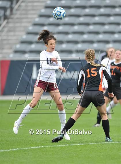 Thumbnail 2 in Lewis-Palmer vs. Cheyenne Mountain (CHSAA 4A Final) photogallery.