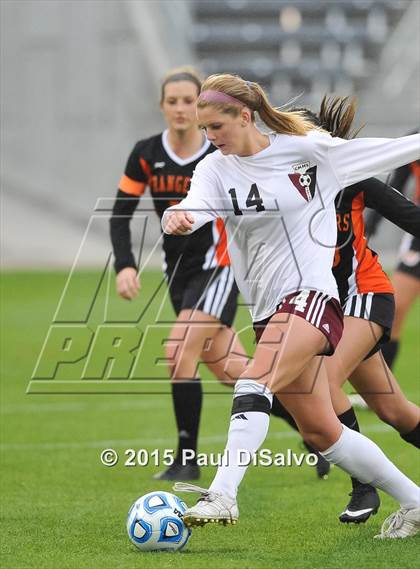 Thumbnail 1 in Lewis-Palmer vs. Cheyenne Mountain (CHSAA 4A Final) photogallery.