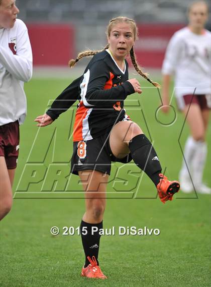 Thumbnail 1 in Lewis-Palmer vs. Cheyenne Mountain (CHSAA 4A Final) photogallery.