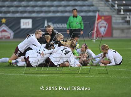 Thumbnail 1 in Lewis-Palmer vs. Cheyenne Mountain (CHSAA 4A Final) photogallery.