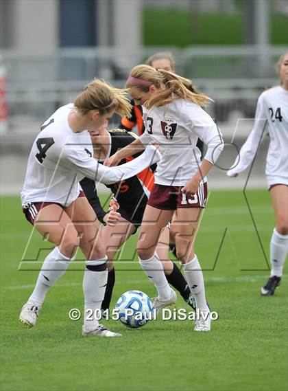 Thumbnail 2 in Lewis-Palmer vs. Cheyenne Mountain (CHSAA 4A Final) photogallery.