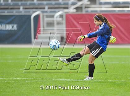 Thumbnail 2 in Lewis-Palmer vs. Cheyenne Mountain (CHSAA 4A Final) photogallery.