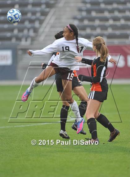 Thumbnail 1 in Lewis-Palmer vs. Cheyenne Mountain (CHSAA 4A Final) photogallery.