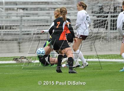 Thumbnail 1 in Lewis-Palmer vs. Cheyenne Mountain (CHSAA 4A Final) photogallery.