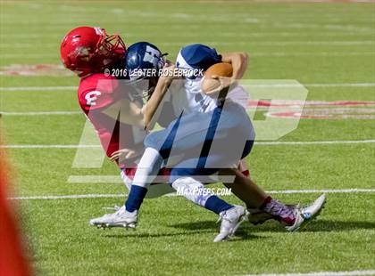 Thumbnail 1 in Hondo @ Fredericksburg photogallery.