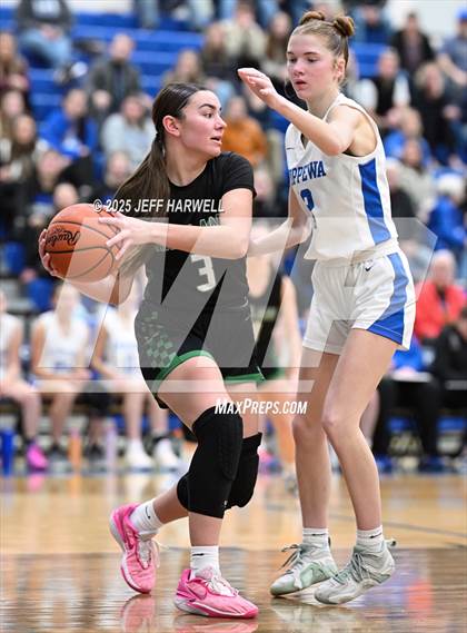 Thumbnail 1 in Highland @ Chippewa photogallery.