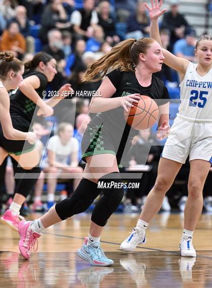 Thumbnail 3 in Highland @ Chippewa photogallery.