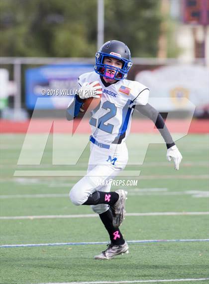 Thumbnail 1 in Millbrook vs. Chester (Section 9 Class C Semifinal) photogallery.