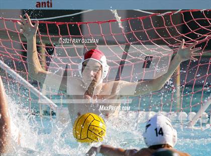 Thumbnail 3 in Sanger @ Hoover photogallery.