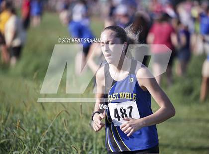 Thumbnail 1 in Huntington North Invitational photogallery.