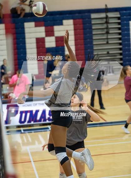 Thumbnail 2 in Hamilton vs Perry photogallery.