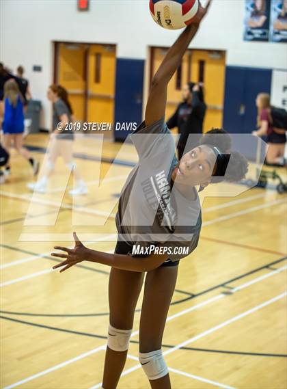 Thumbnail 1 in Hamilton vs Perry photogallery.
