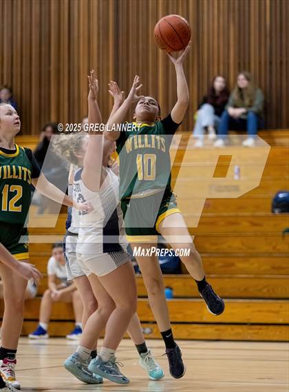 Thumbnail 1 in Willits @ Credo photogallery.