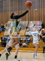 Photo from the gallery "Willits @ Credo"