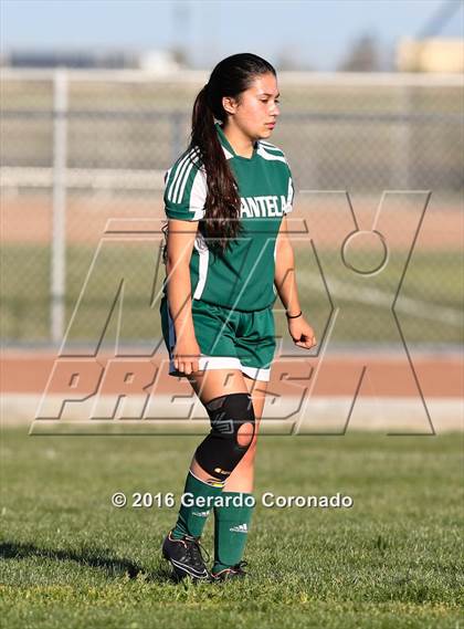 Thumbnail 1 in Manteca @ Lathrop photogallery.