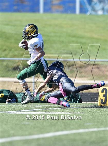 Thumbnail 3 in Mountain Vista @ Highlands Ranch photogallery.