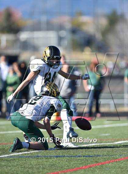 Thumbnail 3 in Mountain Vista @ Highlands Ranch photogallery.