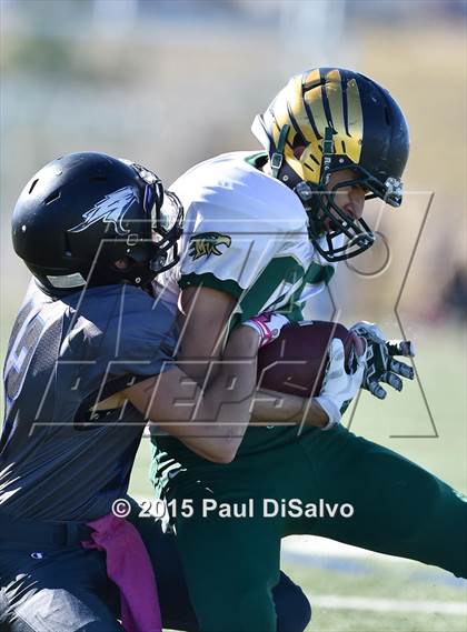 Thumbnail 1 in Mountain Vista @ Highlands Ranch photogallery.