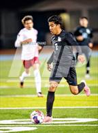 Photo from the gallery "Laguna Creek @ Burbank"