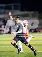 Photo from the gallery "Laguna Creek @ Burbank"