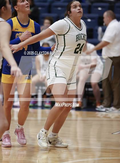 Thumbnail 2 in Colfax vs Pendleton (Avista Holiday Tournament) photogallery.