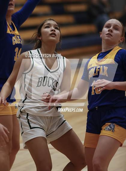 Thumbnail 1 in Colfax vs Pendleton (Avista Holiday Tournament) photogallery.