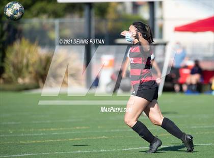 Thumbnail 3 in Milpitas @ Fremont photogallery.