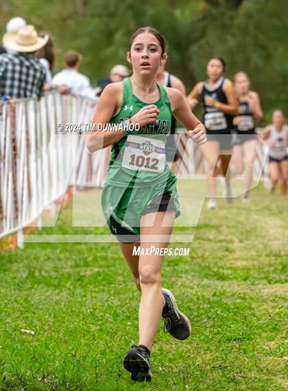 Thumbnail 1 in UIL 1A Girls Cross Country Finals photogallery.