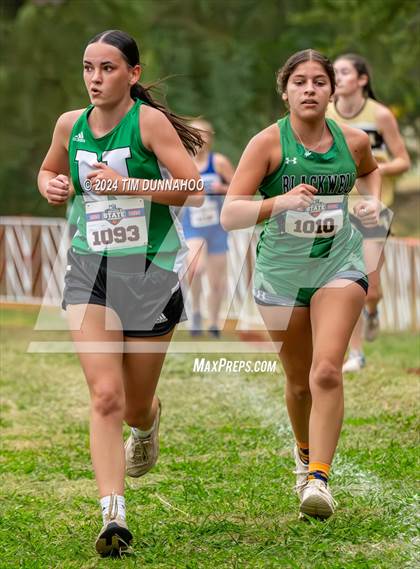 Thumbnail 2 in UIL 1A Girls Cross Country Finals photogallery.