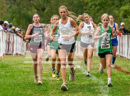 Thumbnail 2 in UIL 1A Girls Cross Country Finals photogallery.