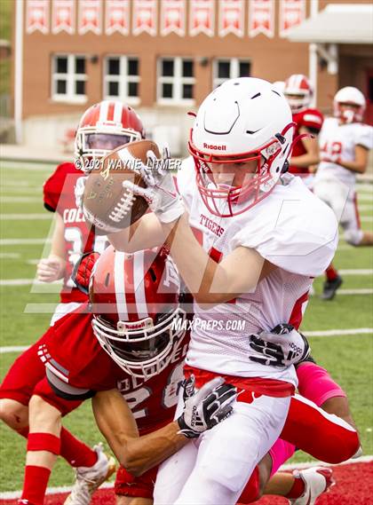 Thumbnail 1 in Dixie Heights @ Beechwood photogallery.