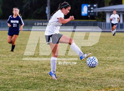 Thumbnail 3 in Wharton vs. Land O' Lakes photogallery.