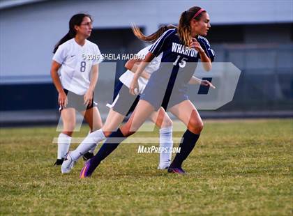 Thumbnail 1 in Wharton vs. Land O' Lakes photogallery.