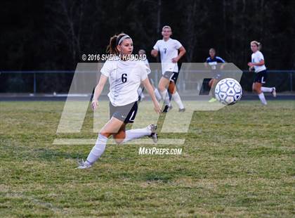 Thumbnail 1 in Wharton vs. Land O' Lakes photogallery.