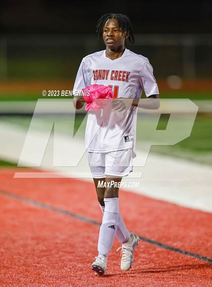 Thumbnail 2 in Sandy Creek @ Dutchtown photogallery.