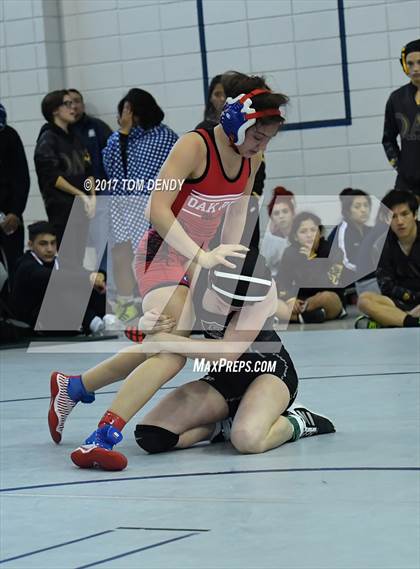 Thumbnail 1 in Doc Hess Classic Wrestling Tournament photogallery.