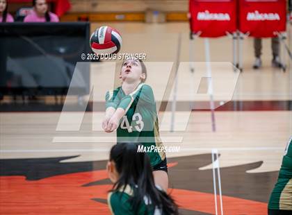 Thumbnail 2 in JV: Moreau Catholic @ James Logan photogallery.