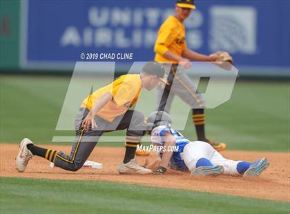 Thumbnail 3 in Western vs Sunny Hills photogallery.