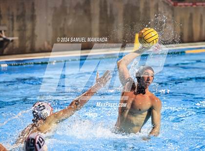 Thumbnail 2 in Oaks Christian vs Sacred Heart Prep (Elite 8 water polo Tournament) photogallery.